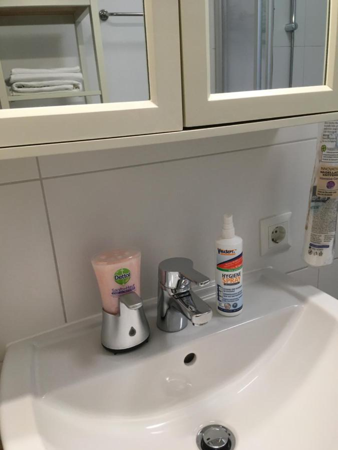 New Flat In Old Town+garage * Steyr