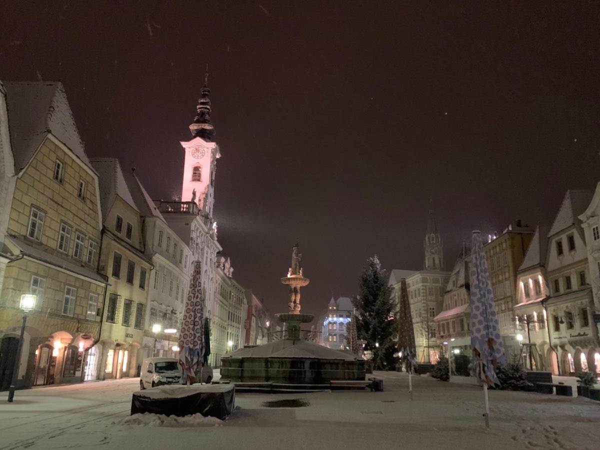 New Flat In Old Town+garage Apartment Steyr