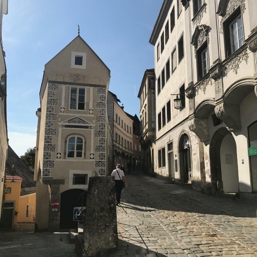 New Flat In Old Town+garage Apartment Steyr