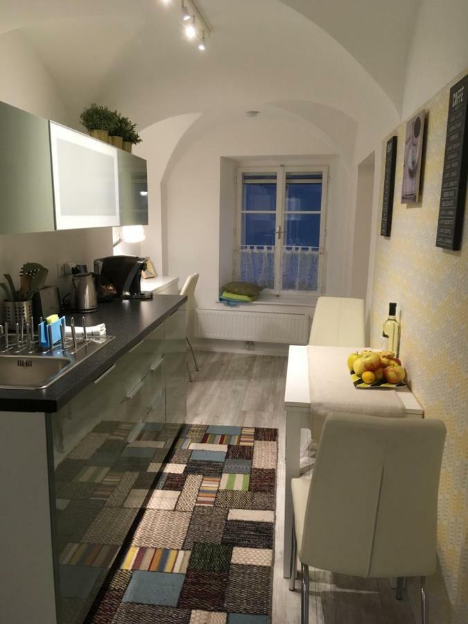 New Flat In Old Town+garage * Steyr
