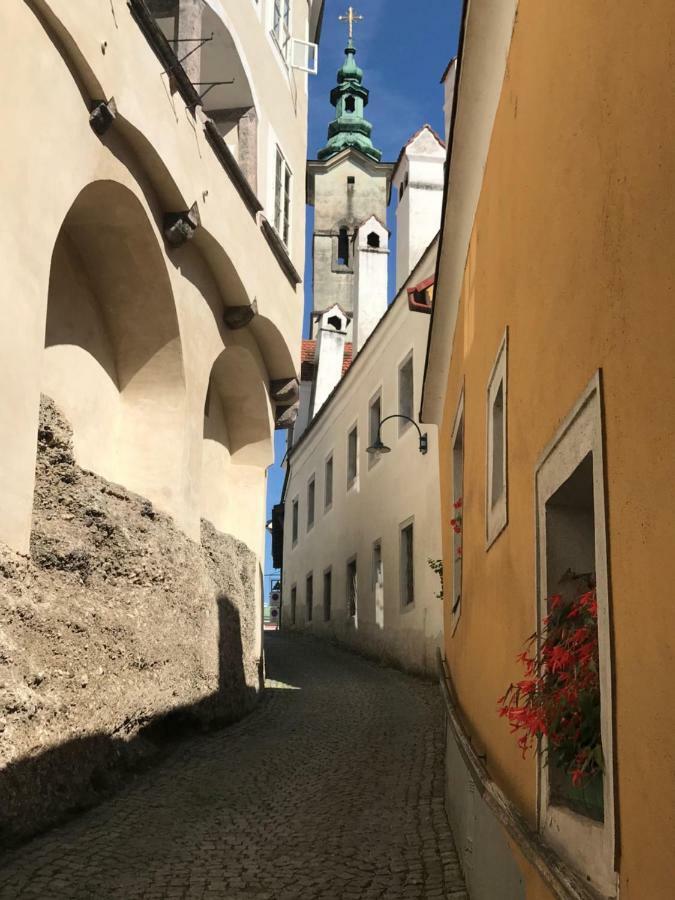 Apartmán New Flat In Old Town+garage Steyr